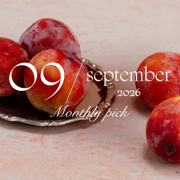 【September Monthly Pick】9月のイベントスケジュール公開中！